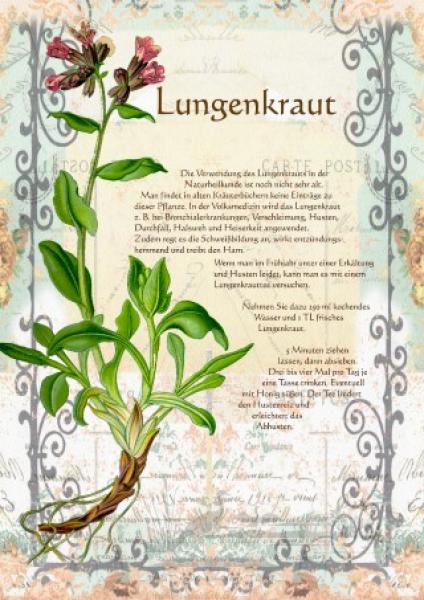 Download Artikelset 1 - 10  Bilder A4 deutsche Beschriftung als Download